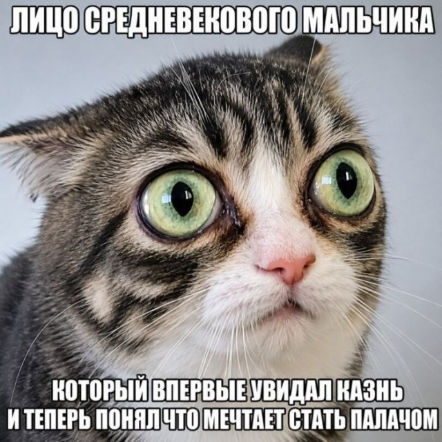 Картинки для деградации 291 (разной степени свежести)