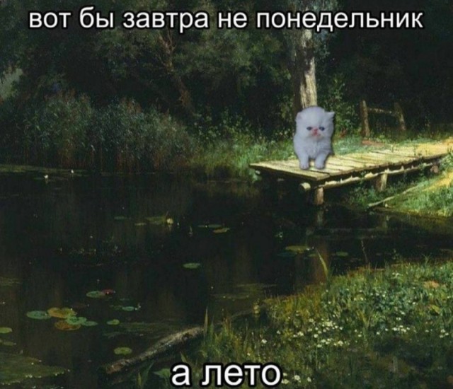 Картинки на среду