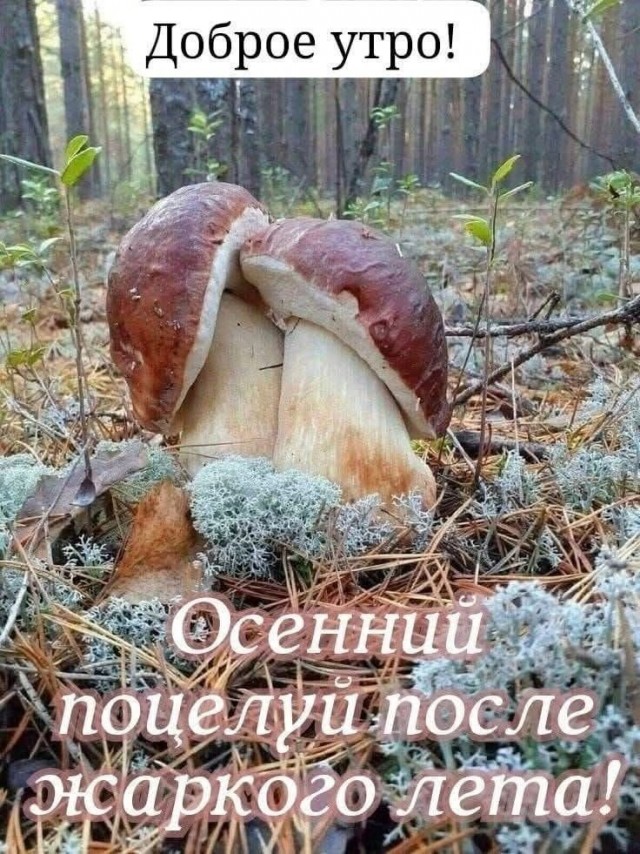 Прикольные и просто красивые картинки 16.10.2026