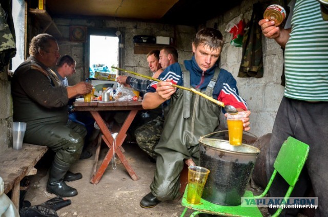 Ловцы грез: репортаж из белорусского рыбхоза