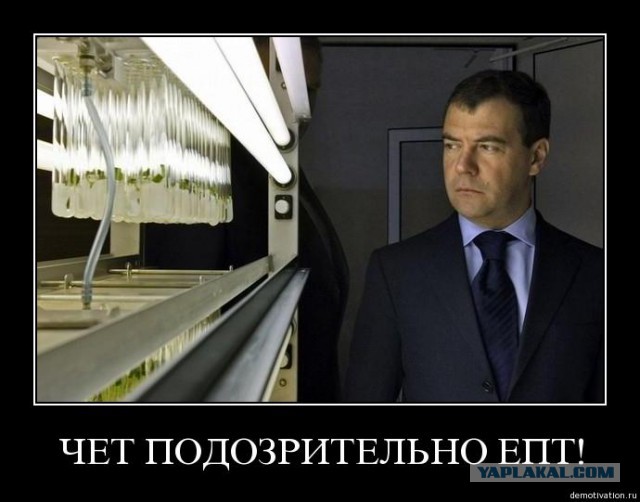 Нечто в соцсети.