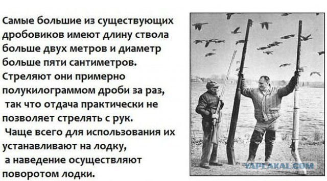 Калибры, которые мы выбираем
