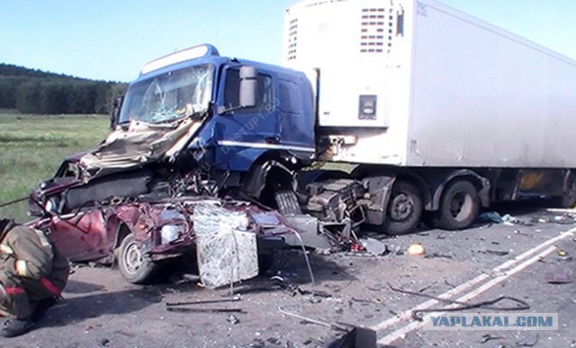 Спасая жизнь собаке, омский водитель погубил семью