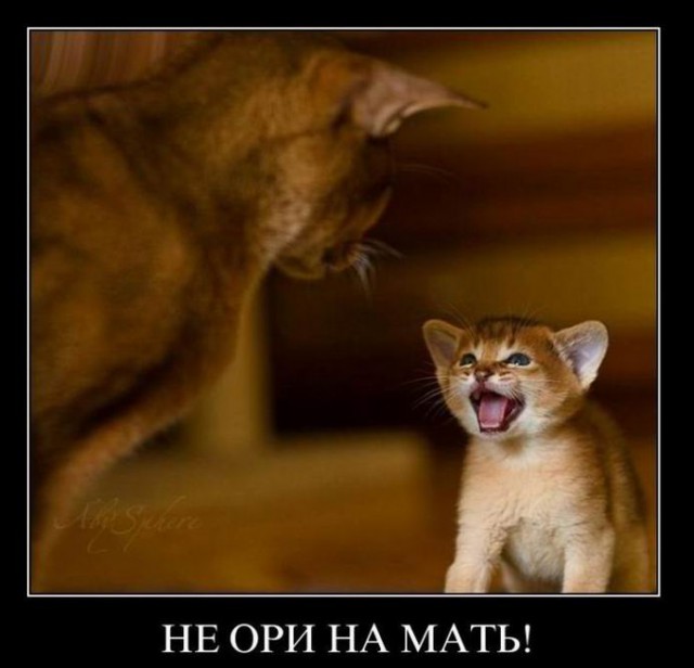 Демотиваторов пост, добавляйте свои
