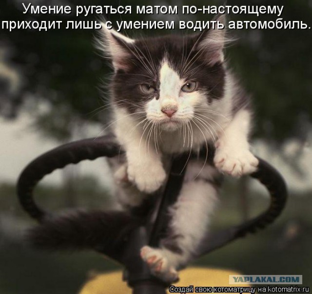 Весёлое из сети
