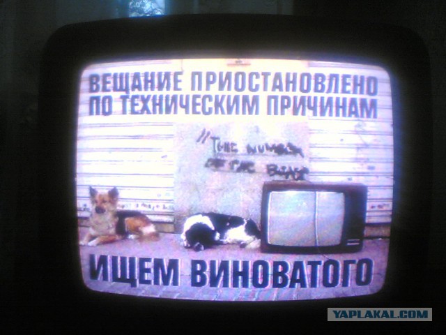 Прикольные объявления и надписи