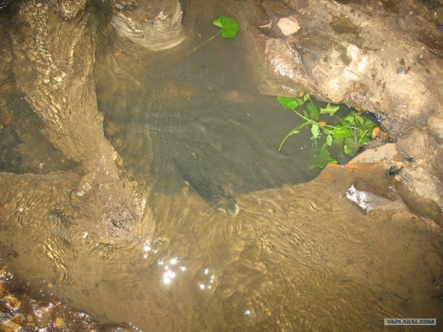 Что течет в подземных реках-2