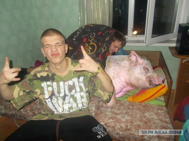 Ужасы и приколы из соцсетей 18+