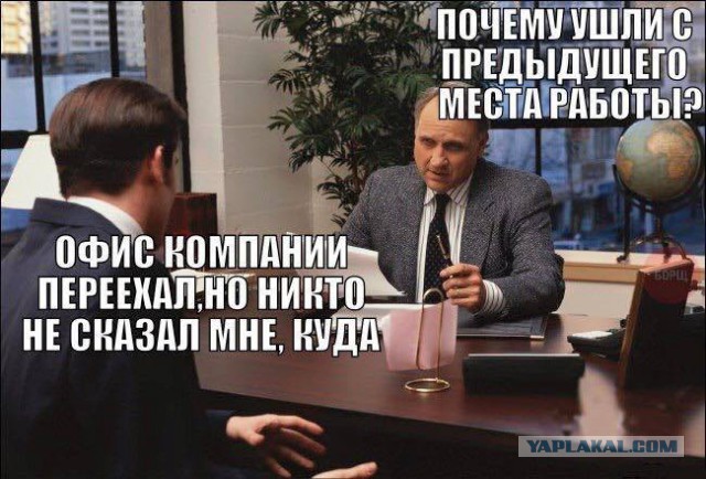 Прикольные фото и картинки