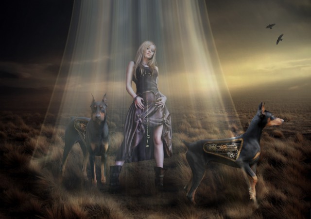 Картинки из сети