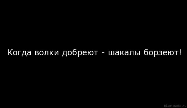 Эрдоган просит встречи с Путиным в Париже