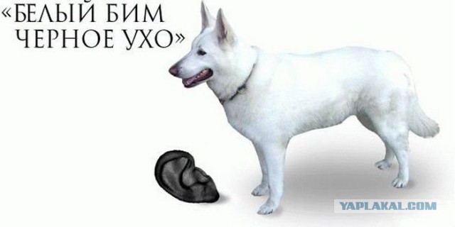 Злые шутки или минутка сарказма на ЯП-е, 16+