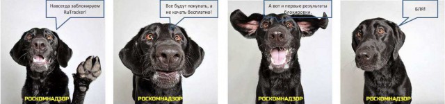 RuTracker - пропаганда наркотиков, терроризма и вирусов