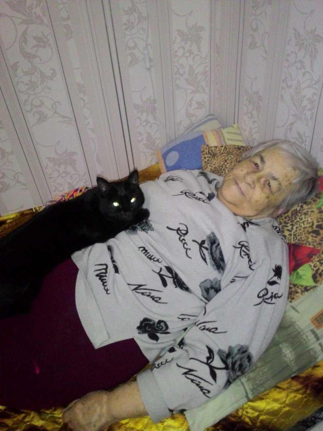 КотоВторник 26.04.2016