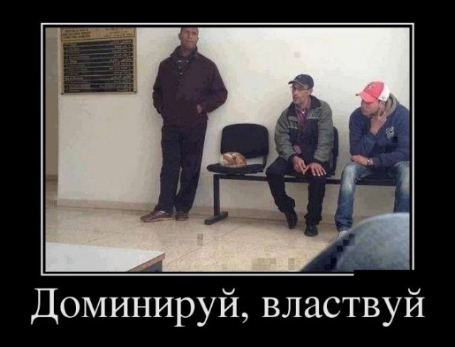 Подборка картинок