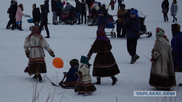 Новый Уренгой-Надым, покатушки  в выходные на День Оленевода