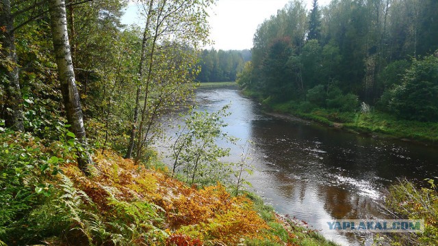 Деревня Девкино. Боровичский район Новгородской области. Фотоподборка.