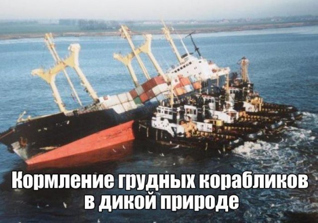 Решил молочку подрезать! Получи!