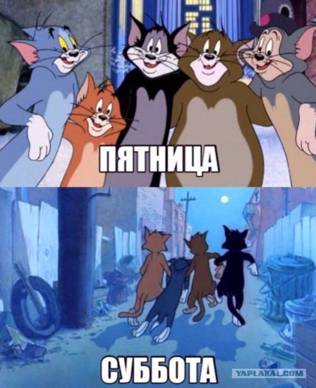 Немного пятничного хаоса и чернухи