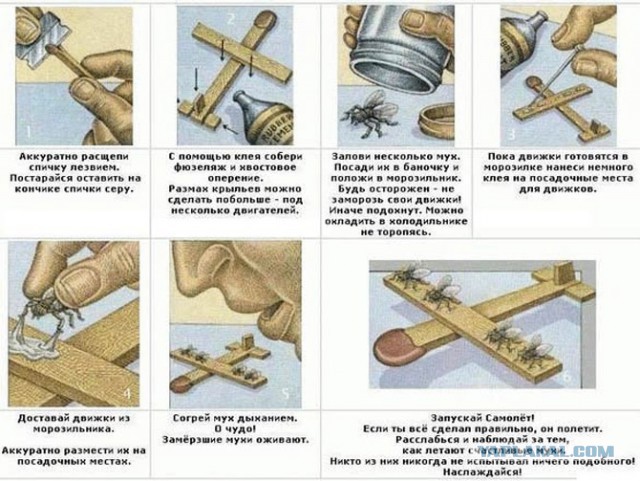 Задача про муху