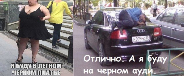 Смешные картинки