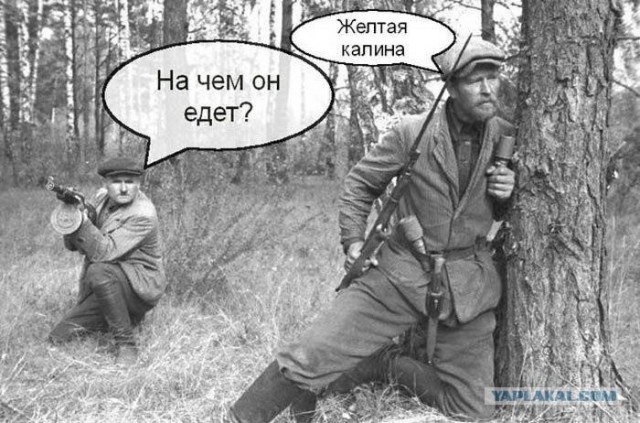 Россия, блин, вперёд !