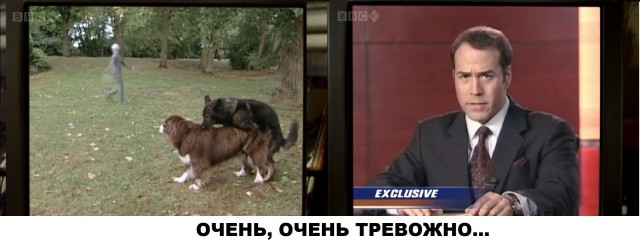 НАСА прервало прямой эфир с МКС, в котором появилась ‘неизвестная планета’
