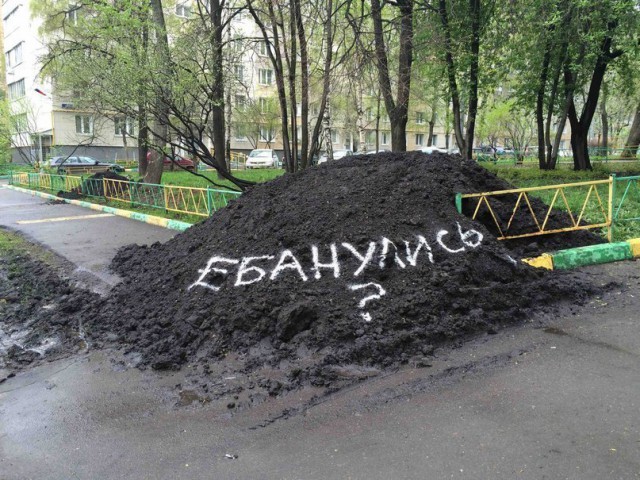 Картинки по-приколу