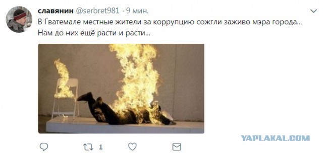 Смешные комментарии из социальных сетей 20.07.2018