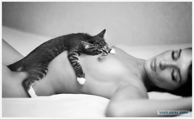 Котовторник 1.02.2011