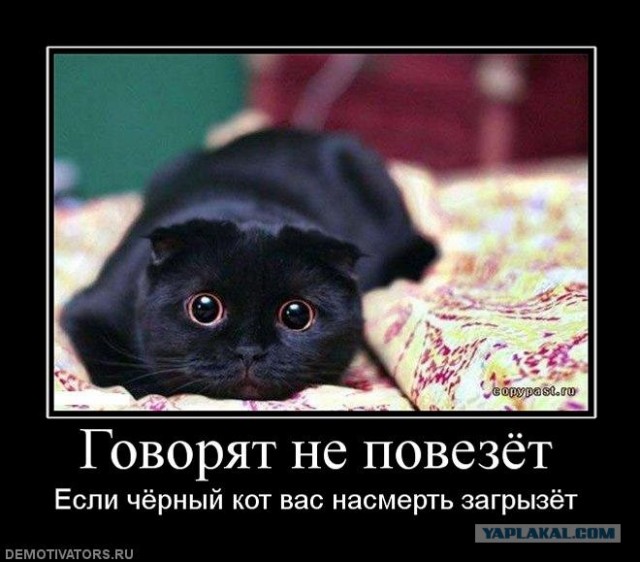 Противостояние
