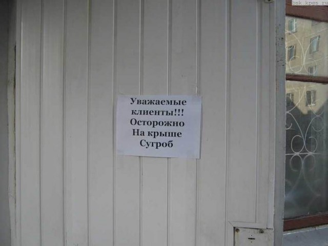 Перлы