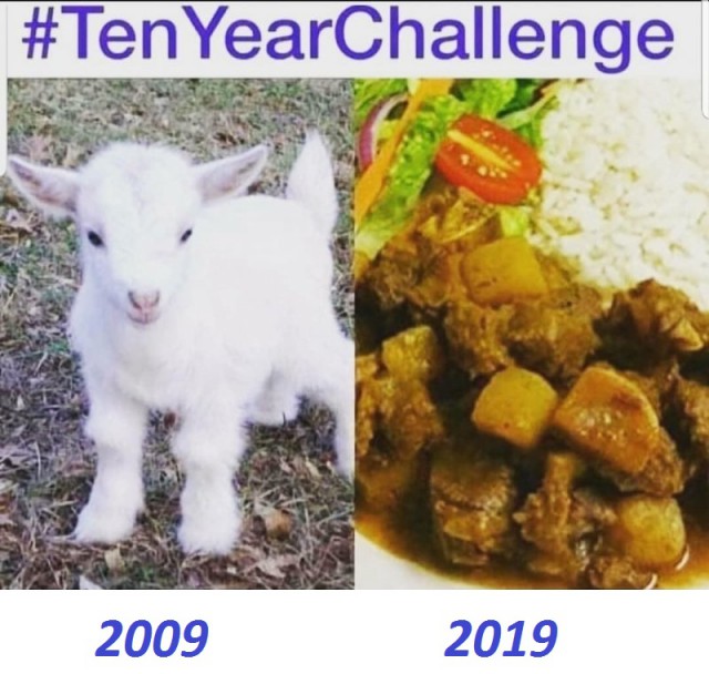 Лучшие приколы про #10YearChallenge