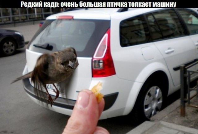 Фото, на которых разворачивается неподдельная драма