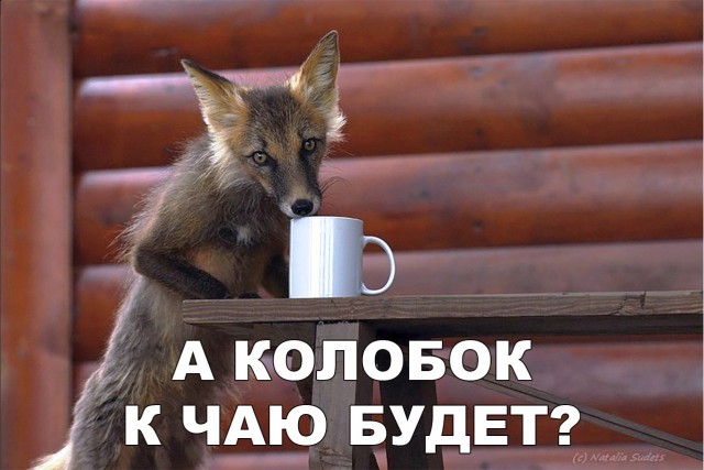 Живность из сети