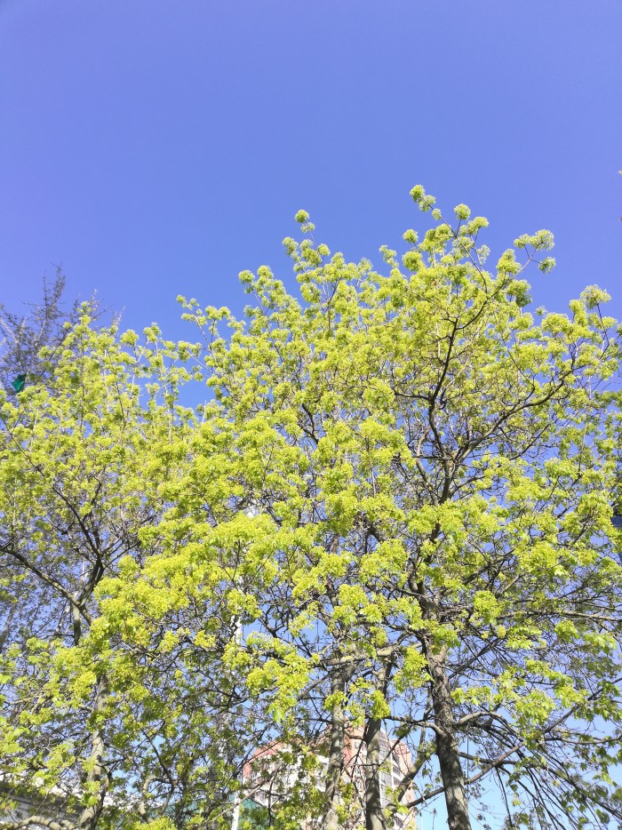 Добро пожаловать в Сибирь 28.04.2019