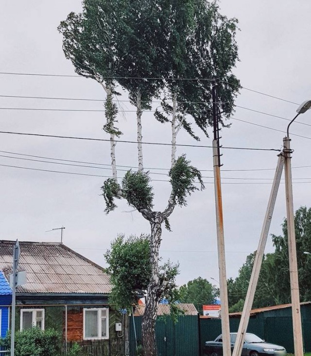 Необычные вещи, которые люди успели  сфотографировать