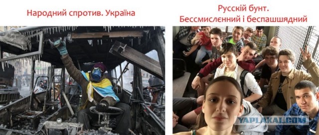 Как избежать задержания на митинге