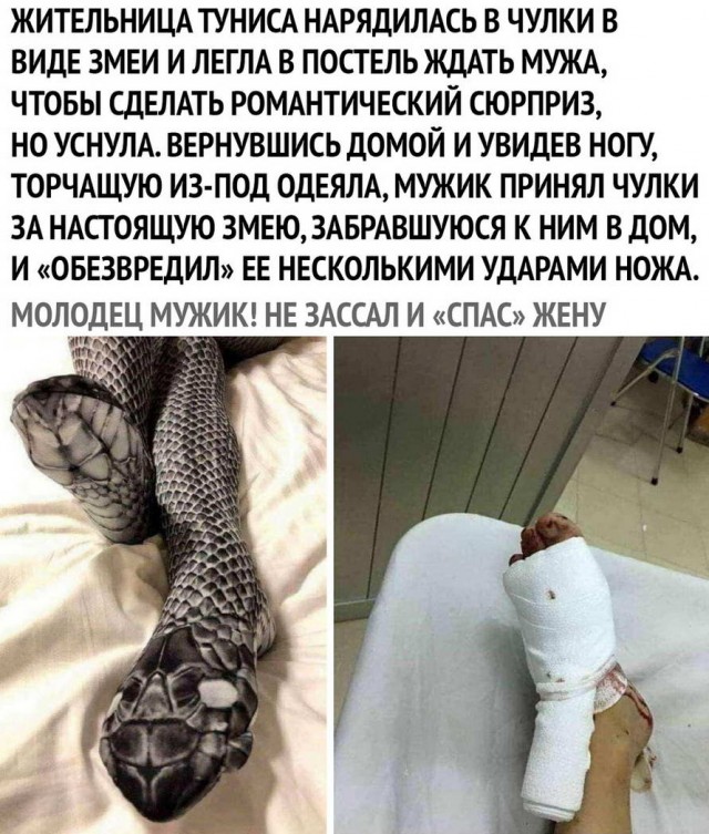 Гуляет Алиса по шахматным клеткам, или шоколадка за нольпятку