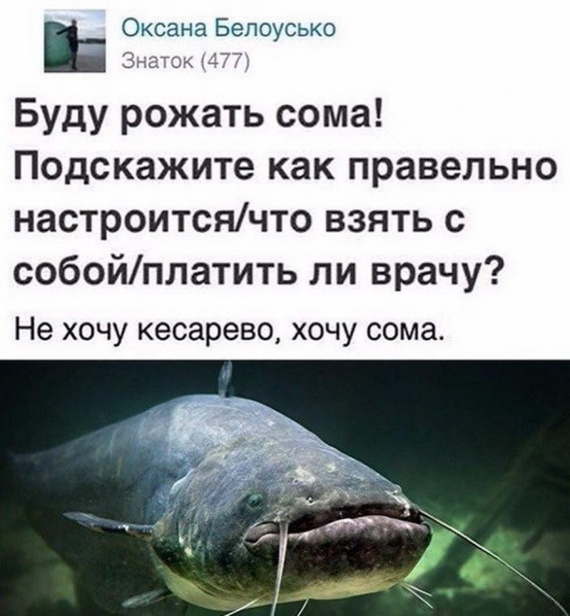 Пара-пара-пам! Фьють. Картинки с надписями