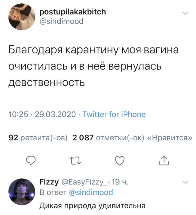 Немного картинок для настроения 03.04.20