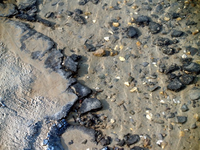 Прогулка по дну Обского водохранилища