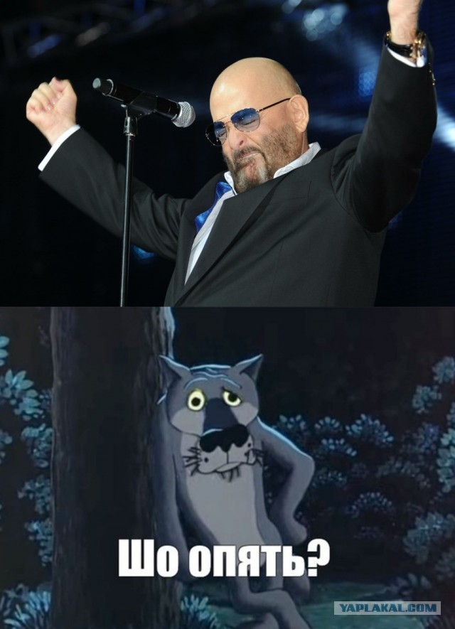 Бумер и Шуф