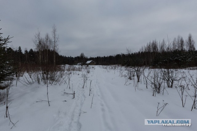 Последний житель глухой белорусской деревни