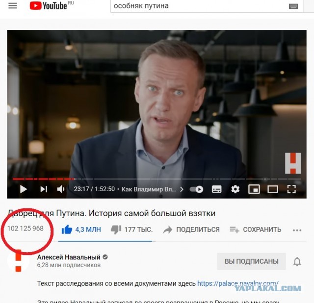 Главред Mash, побывавший во дворце Путина, работает на АП