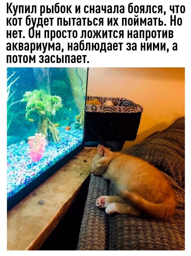 Картинки и мемы для настроения 016