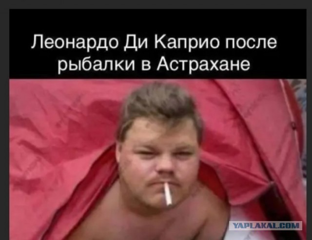 Александр Емельяненко, оказывается, декан