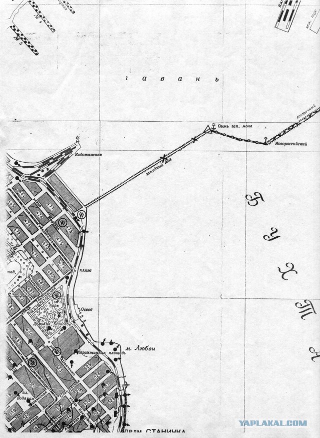 Железная воля Цезаря. Главный подвиг майора Куникова