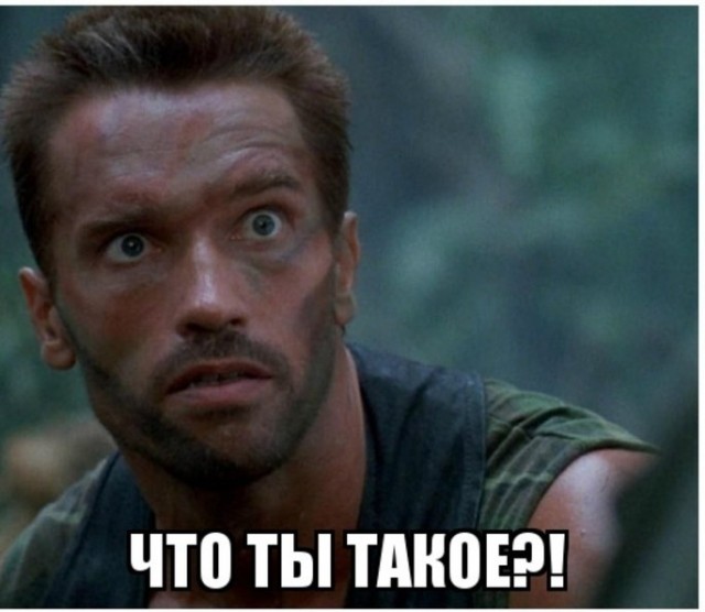 1000-процентный брачный материал
