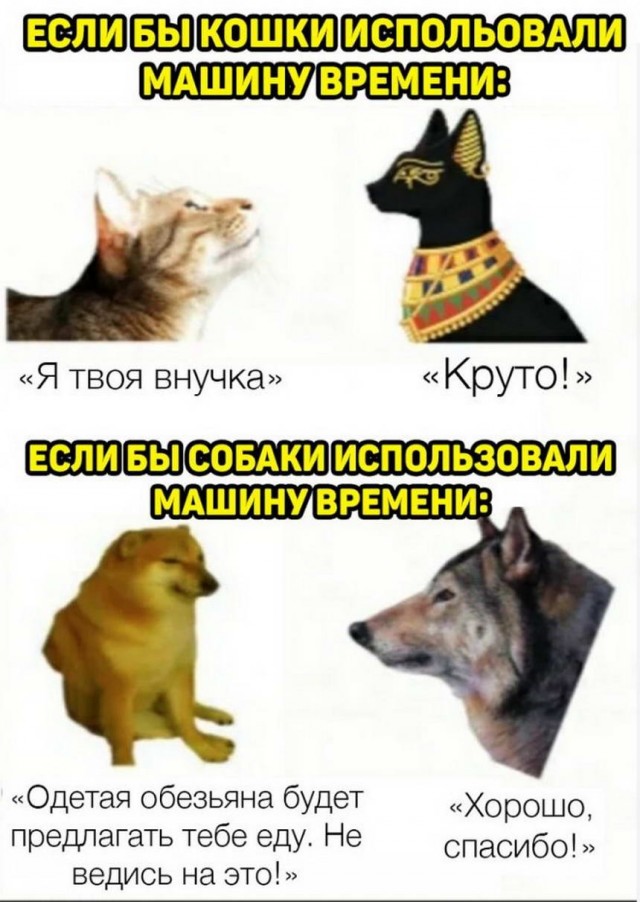 35 картинок разных 14.07.2021